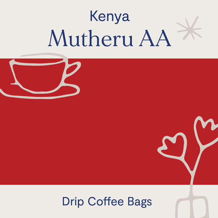 Mutheru AA, Kenya - Washed Coffee Drip Bags
