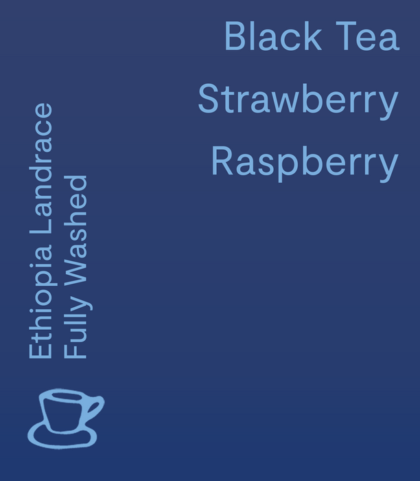 Chelchele, Ethiopia - Filter