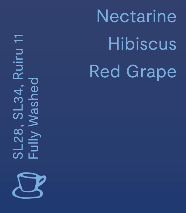 Mutheru AA, Kenya - Filter